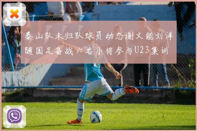 泰山队未归队球员动态谢文能刘洋随国足备战六名小将参与U23集训